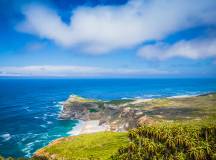 Discover South Africa’s Garden Route