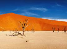 Sossusvlei, Namibia