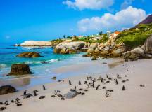 Boulders Beach