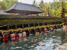 Primates & Dragons of Indonesia