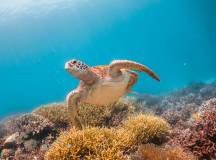 Get Even Close To Wildlife