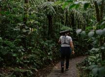 Natural Highlights of Costa Rica