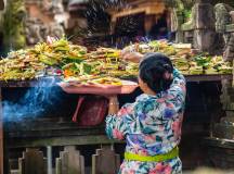 Primates & Dragons of Indonesia