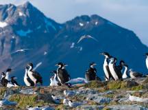 Patagonian Highlights