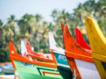 Cycle the Coast of Kerala