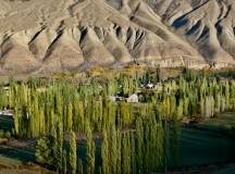 The Five Stans of the Silk Road – Reverse