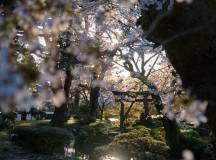 Ancient & Modern Japan