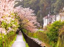 Cycling in Japan