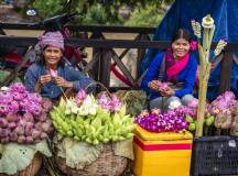 Angkor Wat Add-on Tour (start Siem Reap)
