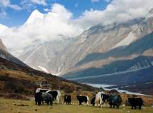 Langtang & Gosainkund Lakes