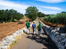 Walking in Puglia & Matera