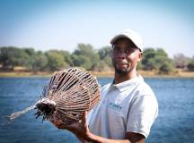 Zambezi Canoe Safari
