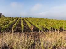 Treasures of Sicily