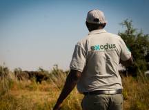 Zambezi Canoe Safari