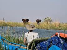 Zambezi Canoe Safari