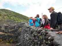 Walking in the Azores