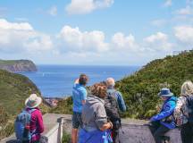 Walking in the Azores