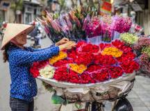 Trails of Vietnam