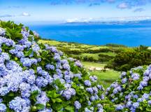 Walking in the Azores