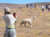 Essential Peru