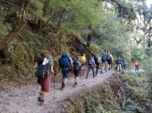 Manaslu Lodge Circuit