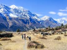 Annapurna Circuit