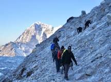Everest Base Camp Trek