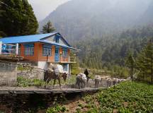 Everest Base Camp Trek