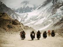 Everest & Gokyo Lakes Circuit