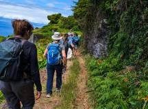 Walking in the Azores