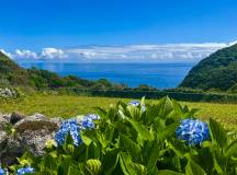 Walking in the Azores