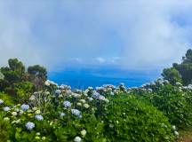 Walking in the Azores