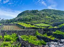 Walking in the Azores