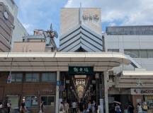 Ancient & Modern Japan