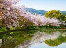 Ancient & Modern Japan