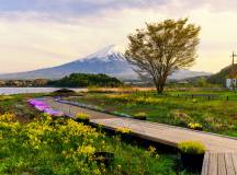 Ancient & Modern Japan