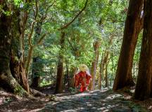 Japan’s Kumano Kodo