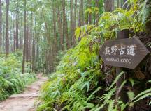 Japan’s Kumano Kodo