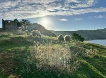 Highlights of Albania