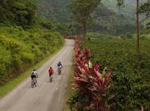 Costa Rica Coast to Coast Ride