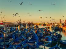 Highlights of Morocco – In Comfort