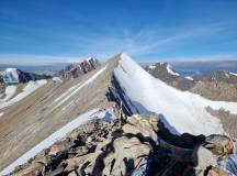 Peaks of Ladakh Trek