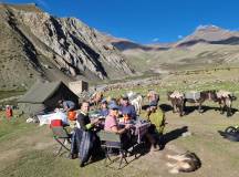 Peaks of Ladakh Trek