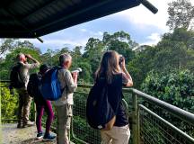 Borneo Wildlife Discoverer