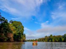 Borneo Wildlife Discoverer