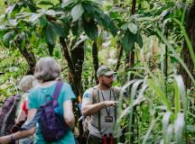 Wild Costa Rica – Premium Adventure