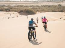 Cycle Namibia