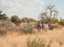 Discover Namibia – Lodges