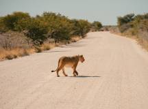 Discover Namibia – Lodges