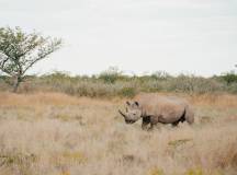 Discover Namibia – Lodges
